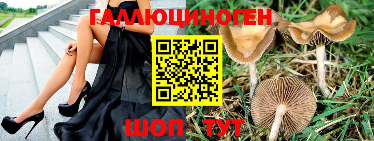 Узловая  Псилоцибиновые грибы Psilocybe  Вход с VPN  купить  сайты  Галлюциногенные грибы Psilocybine cubensis 